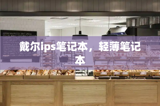 戴尔ips笔记本，轻薄笔记本
