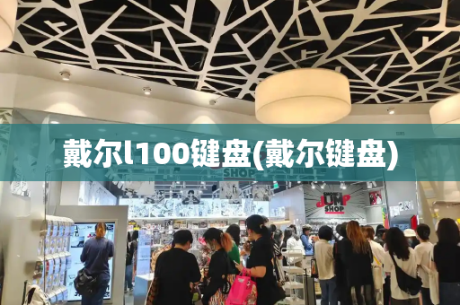 戴尔l100键盘(戴尔键盘)-第1张图片-星选测评