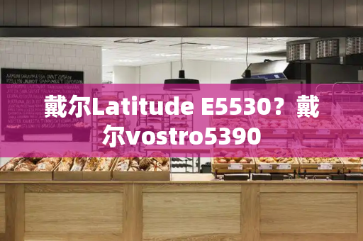戴尔Latitude E5530？戴尔vostro5390-第1张图片-星选测评