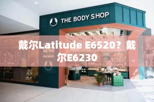 戴尔Latitude E6520？戴尔E6230-第1张图片-星选测评