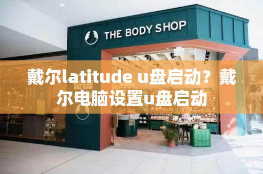 戴尔latitude u盘启动？戴尔电脑设置u盘启动-第1张图片-星选测评