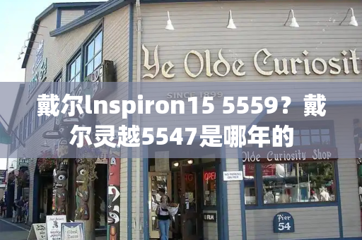 戴尔lnspiron15 5559？戴尔灵越5547是哪年的-第1张图片-星选测评