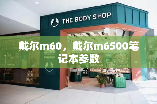 戴尔m60，戴尔m6500笔记本参数