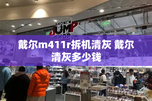戴尔m411r拆机清灰 戴尔清灰多少钱-第1张图片-星选测评
