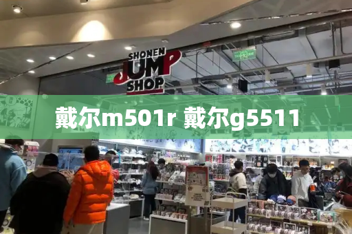 戴尔m501r 戴尔g5511