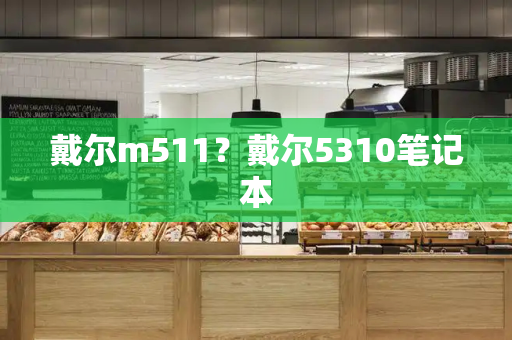 戴尔m511？戴尔5310笔记本-第1张图片-星选测评