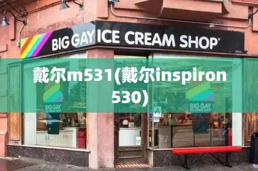 戴尔m531(戴尔inspiron530)-第1张图片-星选测评
