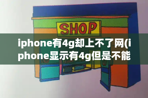 iphone有4g却上不了网(iphone显示有4g但是不能上网)