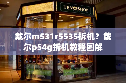 戴尔m531r5535拆机？戴尔p54g拆机教程图解-第1张图片-星选测评