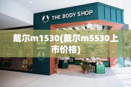戴尔m1530(戴尔m5530上市价格)-第1张图片-星选测评