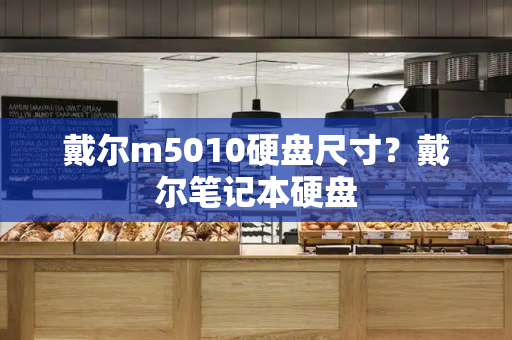 戴尔m5010硬盘尺寸？戴尔笔记本硬盘