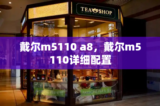 戴尔m5110 a8，戴尔m5110详细配置