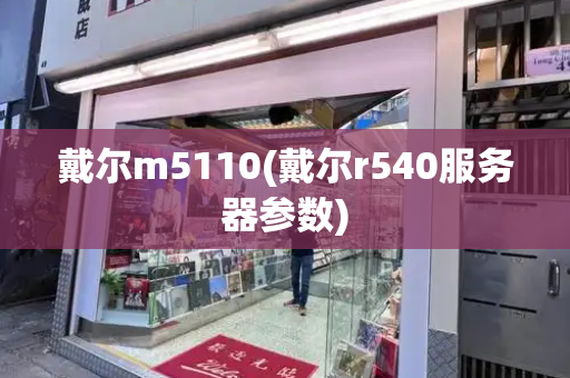 戴尔m5110(戴尔r540服务器参数)