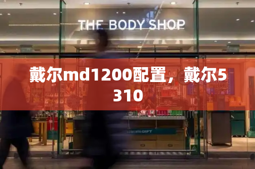 戴尔md1200配置，戴尔5310-第1张图片-星选测评