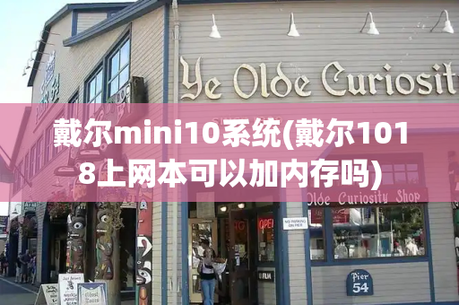 戴尔mini10系统(戴尔1018上网本可以加内存吗)