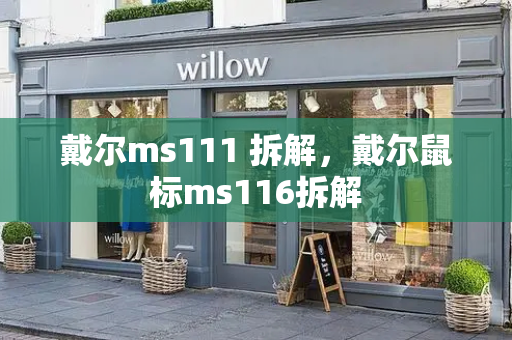 戴尔ms111 拆解，戴尔鼠标ms116拆解