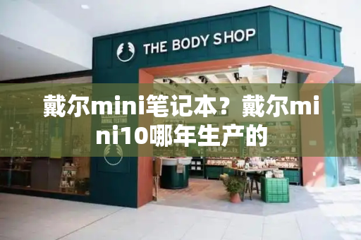 戴尔mini笔记本？戴尔mini10哪年生产的-第1张图片-星选测评