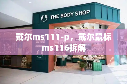戴尔ms111-p，戴尔鼠标ms116拆解-第1张图片-星选测评