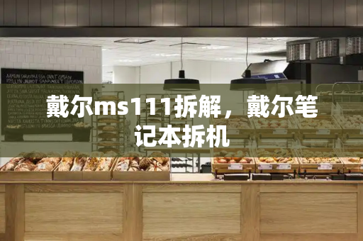 戴尔ms111拆解，戴尔笔记本拆机-第1张图片-星选测评