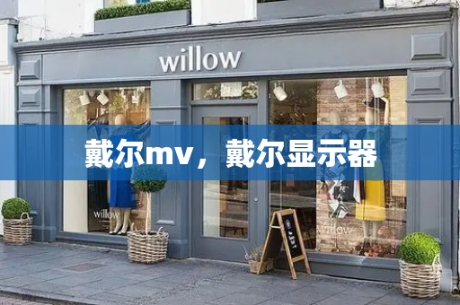 戴尔mv，戴尔显示器