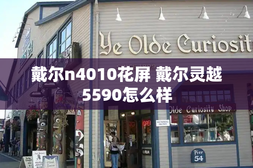 戴尔n4010花屏 戴尔灵越5590怎么样-第1张图片-星选测评