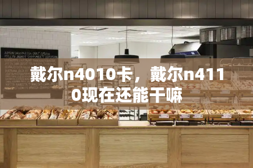 戴尔n4010卡，戴尔n4110现在还能干嘛-第1张图片-星选测评