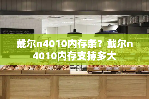 戴尔n4010内存条？戴尔n4010内存支持多大-第1张图片-星选测评