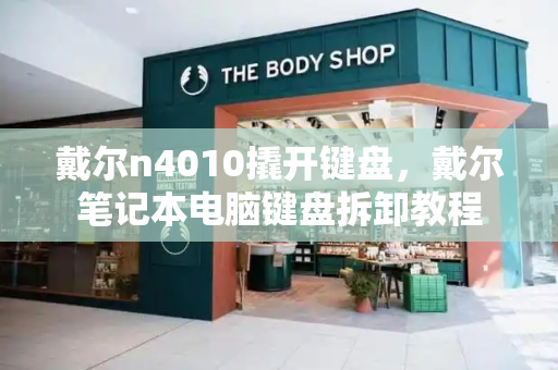 戴尔n4010撬开键盘，戴尔笔记本电脑键盘拆卸教程-第1张图片-星选测评