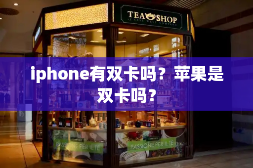 iphone有双卡吗？苹果是双卡吗？-第1张图片-星选测评