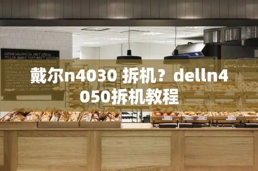 戴尔n4030 拆机？delln4050拆机教程