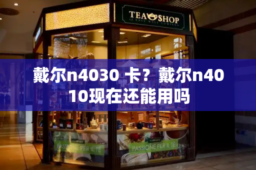 戴尔n4030 卡？戴尔n4010现在还能用吗