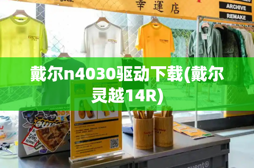 戴尔n4030驱动下载(戴尔灵越14R)-第1张图片-星选测评