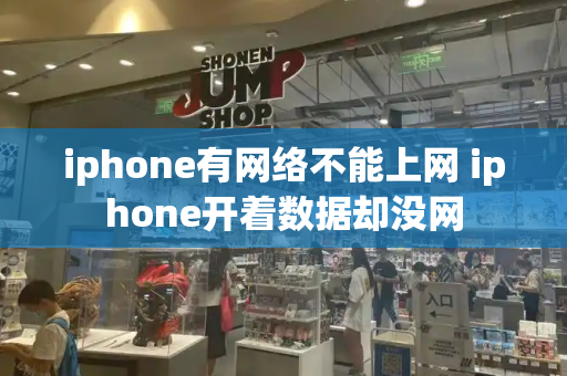 iphone有网络不能上网 iphone开着数据却没网