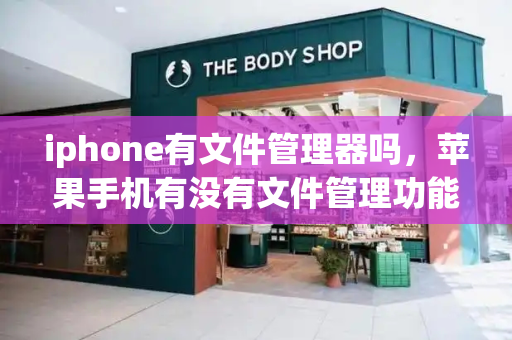 iphone有文件管理器吗，苹果手机有没有文件管理功能
