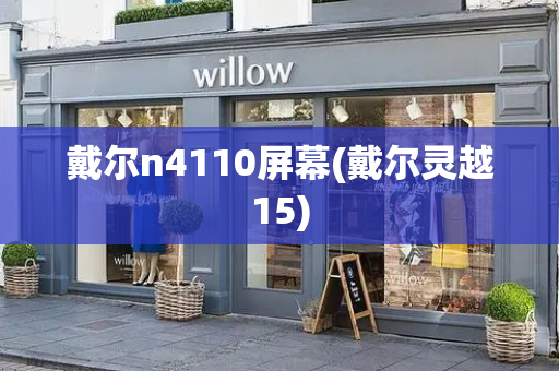 戴尔n4110屏幕(戴尔灵越15)