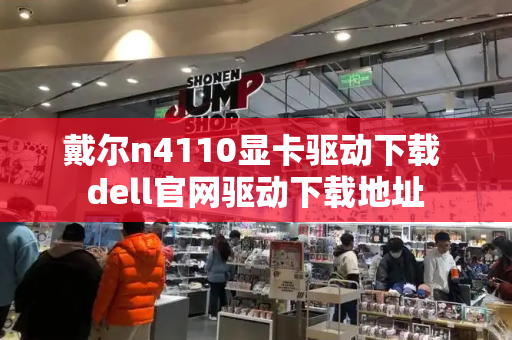 戴尔n4110显卡驱动下载 dell官网驱动下载地址-第1张图片-星选测评
