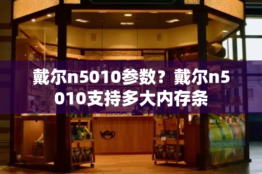 戴尔n5010参数？戴尔n5010支持多大内存条-第1张图片-星选测评