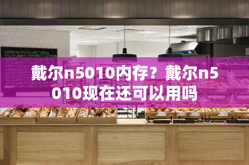 戴尔n5010内存？戴尔n5010现在还可以用吗-第1张图片-星选测评