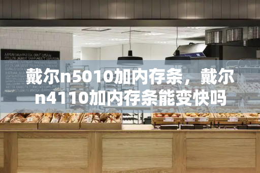 戴尔n5010加内存条，戴尔n4110加内存条能变快吗-第1张图片-星选测评