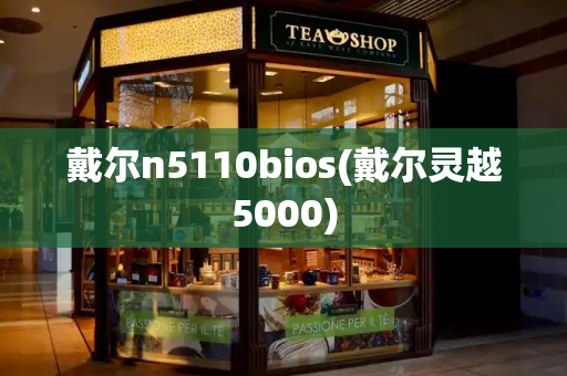 戴尔n5110bios(戴尔灵越5000)-第1张图片-星选测评