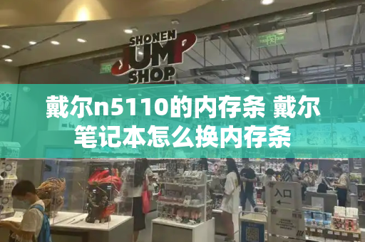 戴尔n5110的内存条 戴尔笔记本怎么换内存条-第1张图片-星选测评
