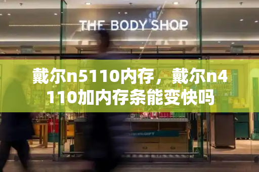 戴尔n5110内存，戴尔n4110加内存条能变快吗-第1张图片-星选测评
