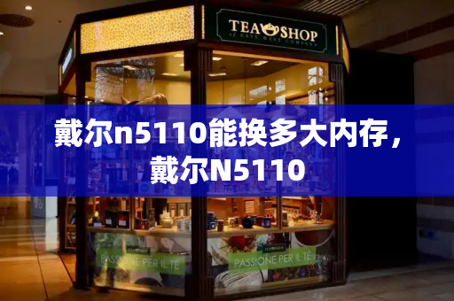 戴尔n5110能换多大内存，戴尔N5110-第1张图片-星选测评