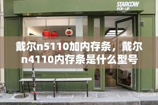 戴尔n5110加内存条，戴尔n4110内存条是什么型号