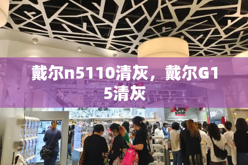 戴尔n5110清灰，戴尔G15清灰