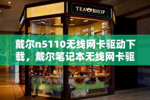 戴尔n5110无线网卡驱动下载，戴尔笔记本无线网卡驱动-第1张图片-星选测评