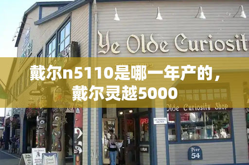 戴尔n5110是哪一年产的，戴尔灵越5000