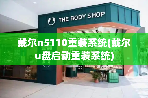 戴尔n5110重装系统(戴尔u盘启动重装系统)-第1张图片-星选测评