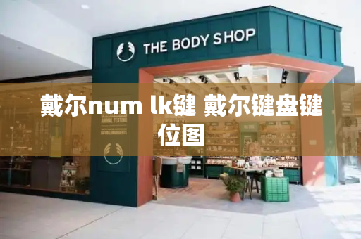戴尔num lk键 戴尔键盘键位图