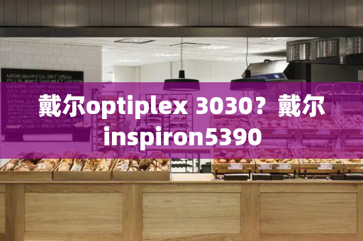 戴尔optiplex 3030？戴尔inspiron5390